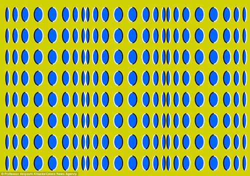 Giáo sư Akiyoshi Kitaoka mất thời gian hơn một thập kỷ tạo ra bộ sưu tập ảnh ảo thị của ông. Những hình ảnh ảo thị rất mạnh mẽ và mỗi hình ảnh đều đi kèm với một cảnh báo về sức khỏe. Nếu người xem bắt đầu cảm thấy chóng mặt hoặc thấy mờ mắt thì nên nhìn đi chỗ khác, không nhắm mắt lại hoàn toàn.