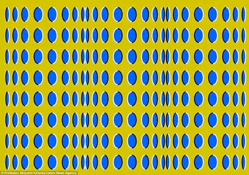 Giáo sư Akiyoshi Kitaoka mất thời gian hơn một thập kỷ tạo ra bộ sưu tập ảnh ảo thị của ông. Những hình ảnh ảo thị rất mạnh mẽ và mỗi hình ảnh đều đi kèm với một cảnh báo về sức khỏe. Nếu người xem bắt đầu cảm thấy chóng mặt hoặc thấy mờ mắt thì nên nhìn đi chỗ khác, không nhắm mắt lại hoàn toàn.