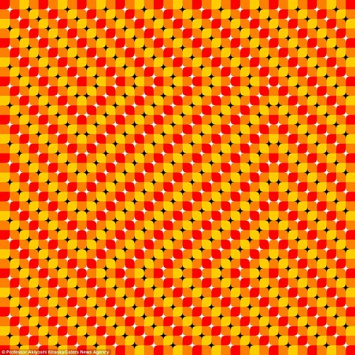 Giáo sư Kitaoka bắt đầu thiết kế những hình ảnh từ giữa những năm 90, và đã tạo ra hàng trăm kiểu dáng khác nhau.