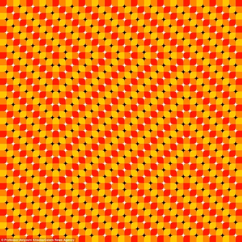 Giáo sư Kitaoka bắt đầu thiết kế những hình ảnh từ giữa những năm 90, và đã tạo ra hàng trăm kiểu dáng khác nhau.