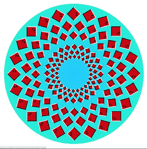 Vòng trung tâm của hình vuông quay ngược các vòng tròn bên ngoài di chuyển theo chiều kim đồng hồ. Giáo sư Kitaoka quyết định tập trung vào ảnh ảo thị sau khi xem xét tác động của chúng trên khỉ.