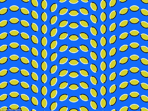 Các nút (ảnh) xếp thành hàng của vòng tròn giống như đang tiến về phía người xem. Hình ảnh ảo thị sử dụng màu sắc, ánh sáng và các mẫu để tạo ra hình ảnh gây nhầm lẫn cho não. Các thông tin thu thập được bằng mắt sẽ được xử lý bởi bộ não.