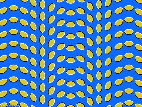 Các nút (ảnh) xếp thành hàng của vòng tròn giống như đang tiến về phía người xem. Hình ảnh ảo thị sử dụng màu sắc, ánh sáng và các mẫu để tạo ra hình ảnh gây nhầm lẫn cho não. Các thông tin thu thập được bằng mắt sẽ được xử lý bởi bộ não.