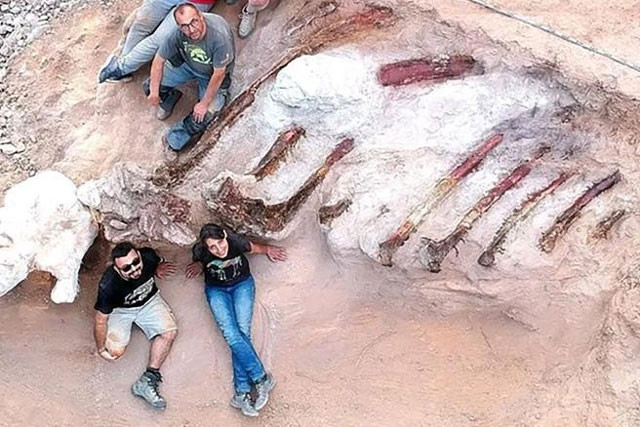 Phat hien hoa thach khung long chan than lan