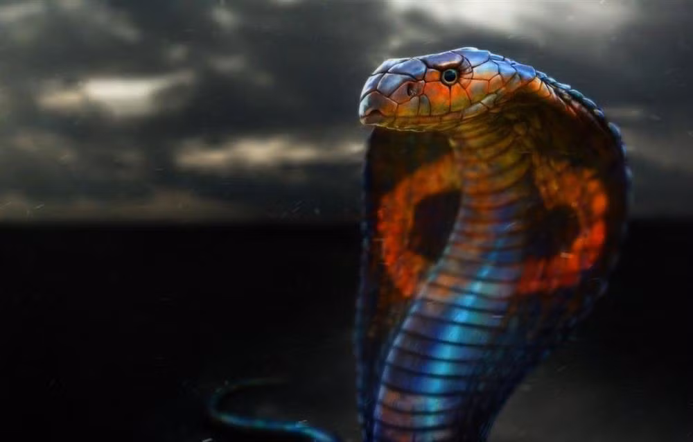 Cát tinh đem đến công việc triển vọng, chuyện làm ăn dễ dàng hơn nhiều phần. Nếu bản mệnh đã nung nấu ý chí thành lập công ty riêng, trung tâm hay cửa hàng thì nên tranh thủ bắt tay vào làm ngay lúc này vì khả năng thành công là rất cao.