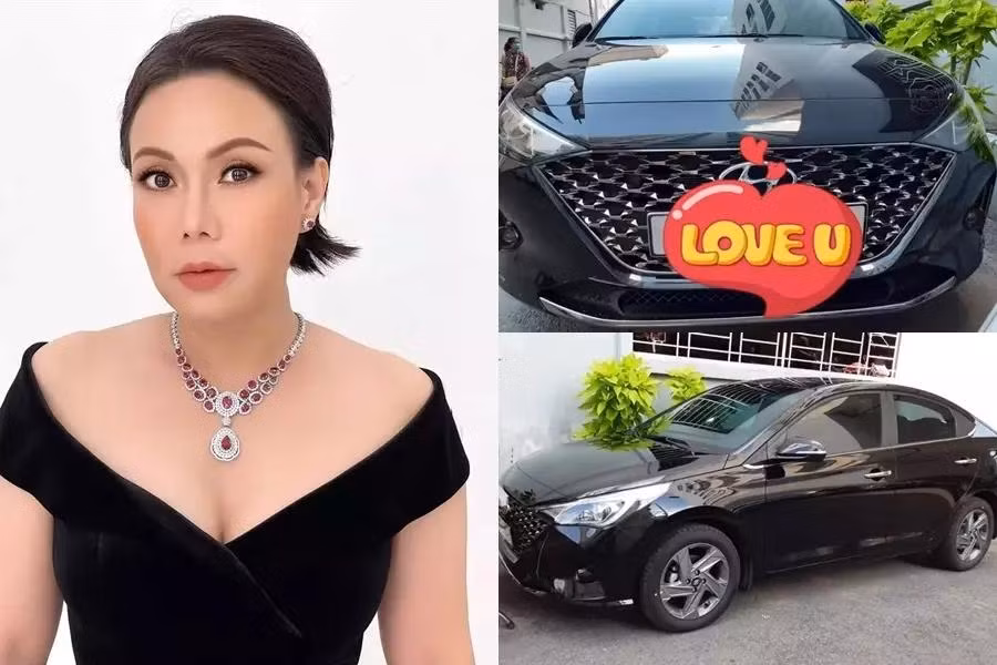 Đây không phải lần đầu Việt Hương dốc hầu bao mạnh tay cho cộng sự. Tháng 4/2021, danh hài từng mua một chiếc xế hộp tặng cho quản lý sau 6 năm nỗ lực làm việc. Nhân đó, Việt Hương cũng khuyến khích quản lý: "Cưới đi, chị đãi 3 ngày".