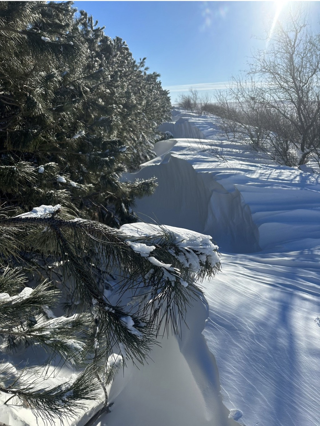 'Bom lốc xoáy' tấn công Mỹ, ít nhất 21 người thiệt mạng - Hình 7 'Bom loc xoay' tan cong My, it nhat 21 nguoi thiet mang-Hinh-7