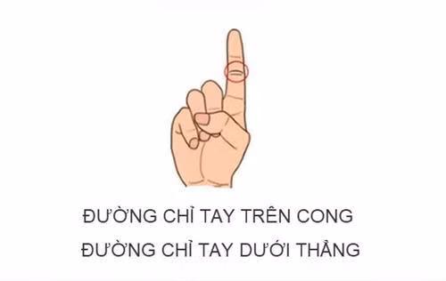 Duong chi tay ngon tro tiet lo menh 'phuong hoang hay ban nong'?-Hinh-3