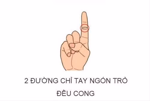 Duong chi tay ngon tro tiet lo menh 'phuong hoang hay ban nong'?