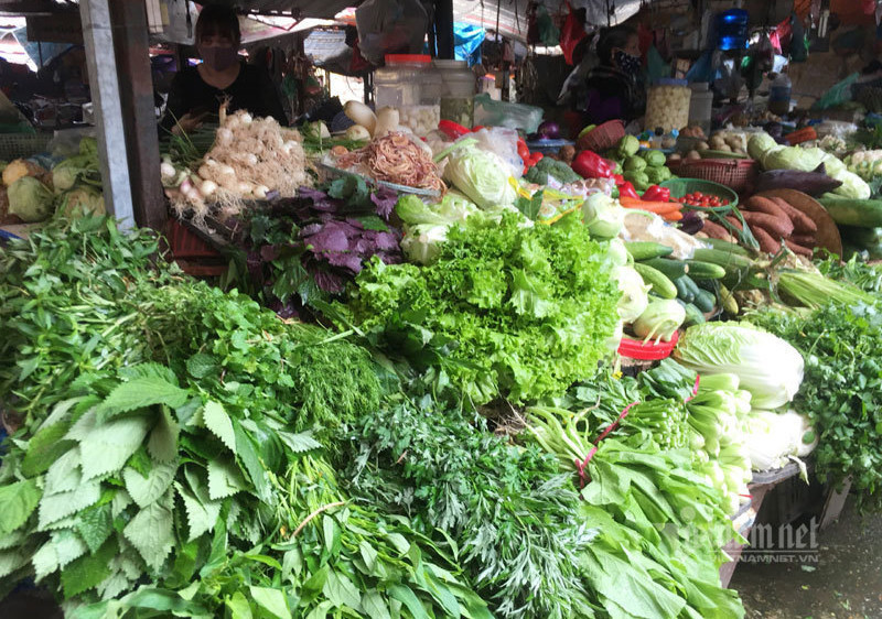 Ha Noi: Gia rau xanh tang gap doi, 'chi phi dat ngang thit ca'