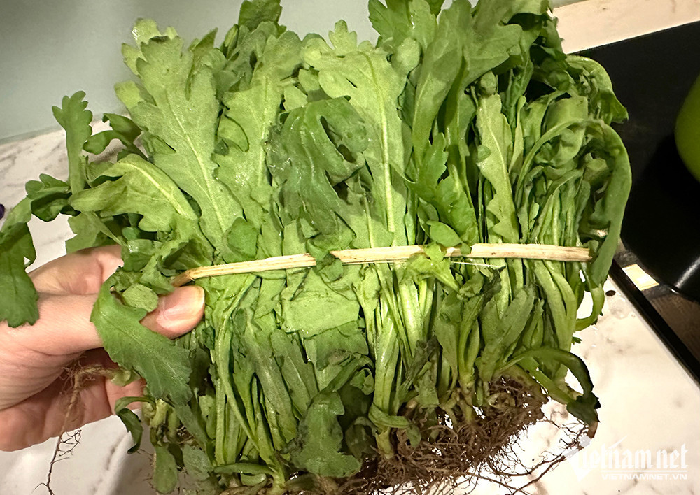 Ha Noi: Gia rau xanh tang gap doi, 'chi phi dat ngang thit ca'-Hinh-2