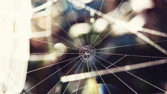 Cach duoi nhen: Cong thuc doc dao chi voi vo cam-Hinh-2