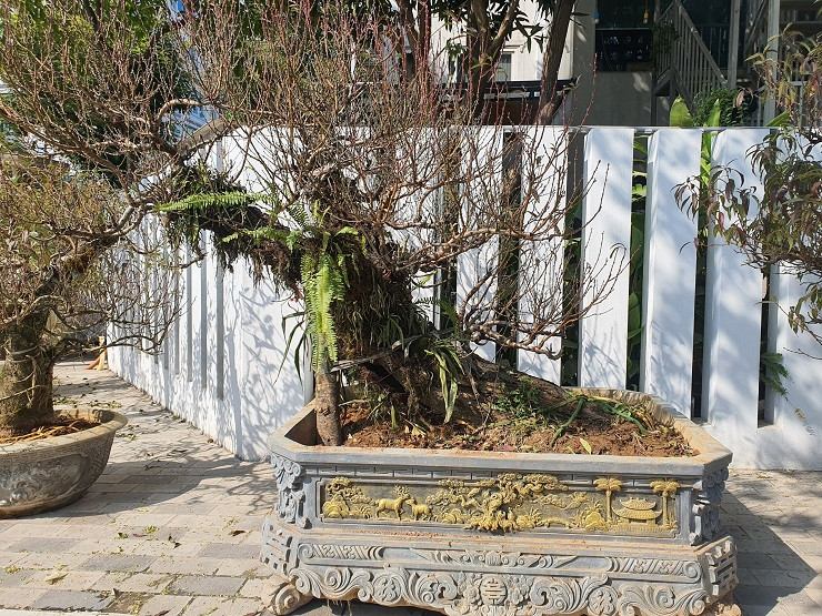 Buoi canh xuong pho co gia hang chuc trieu dong/goc-Hinh-14