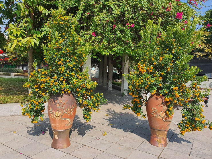 Buoi canh xuong pho co gia hang chuc trieu dong/goc-Hinh-10