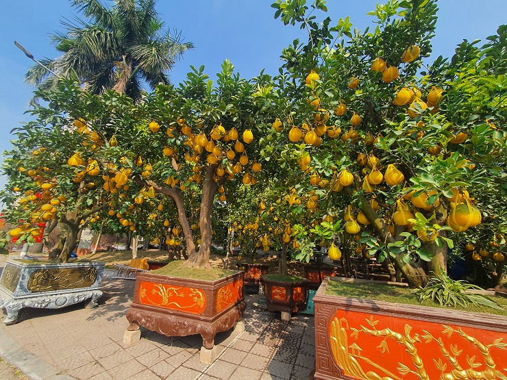 Buoi canh xuong pho co gia hang chuc trieu dong/goc-Hinh-7