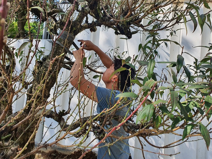 Buoi canh xuong pho co gia hang chuc trieu dong/goc-Hinh-13