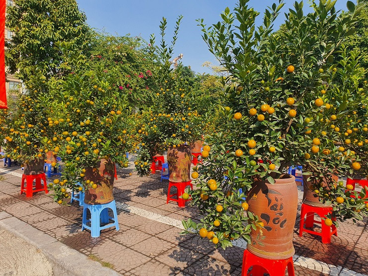 Buoi canh xuong pho co gia hang chuc trieu dong/goc-Hinh-8