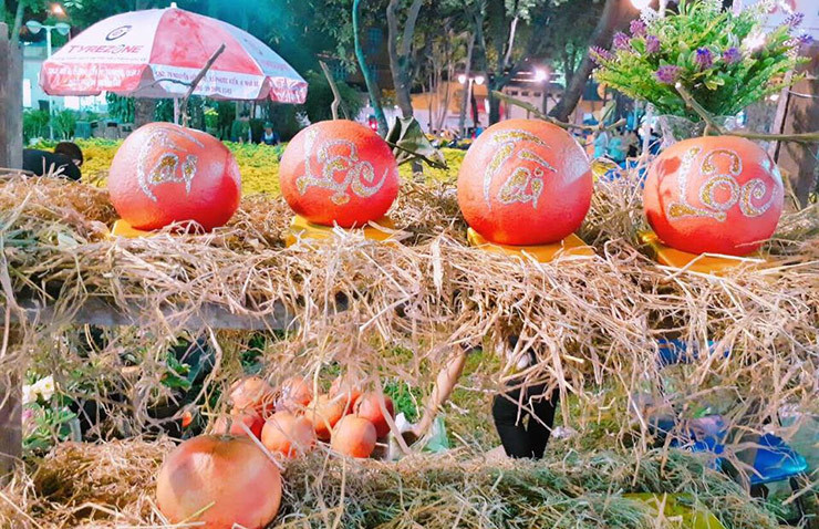 Sau đó, giống bưởi này được người dân ươm giống, thay đổi kỹ thuật và cách chăm sóc, nên nó hồi sinh trở lại.