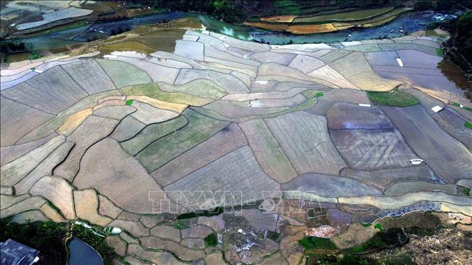 Ngo ngang buc tranh E Tong mua nuoc do-Hinh-3