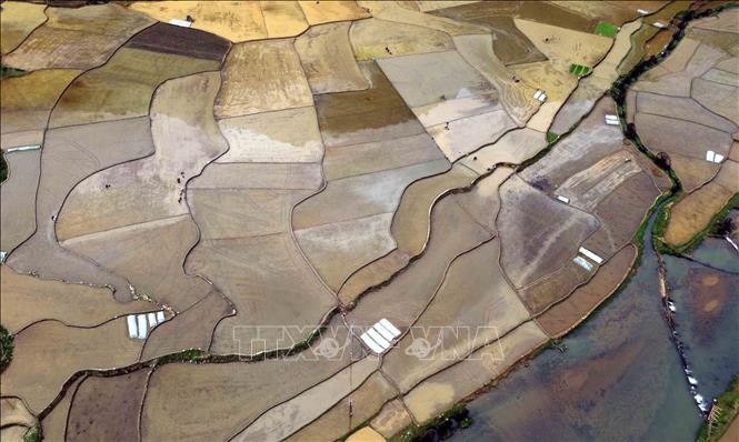 Ngo ngang buc tranh E Tong mua nuoc do-Hinh-2