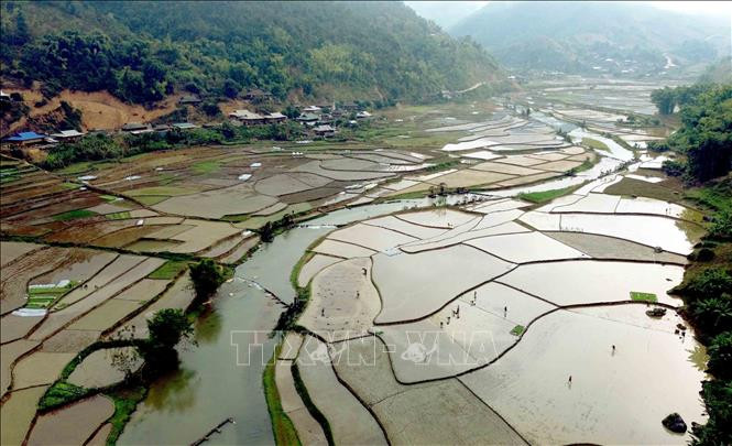 Ngo ngang buc tranh E Tong mua nuoc do-Hinh-4