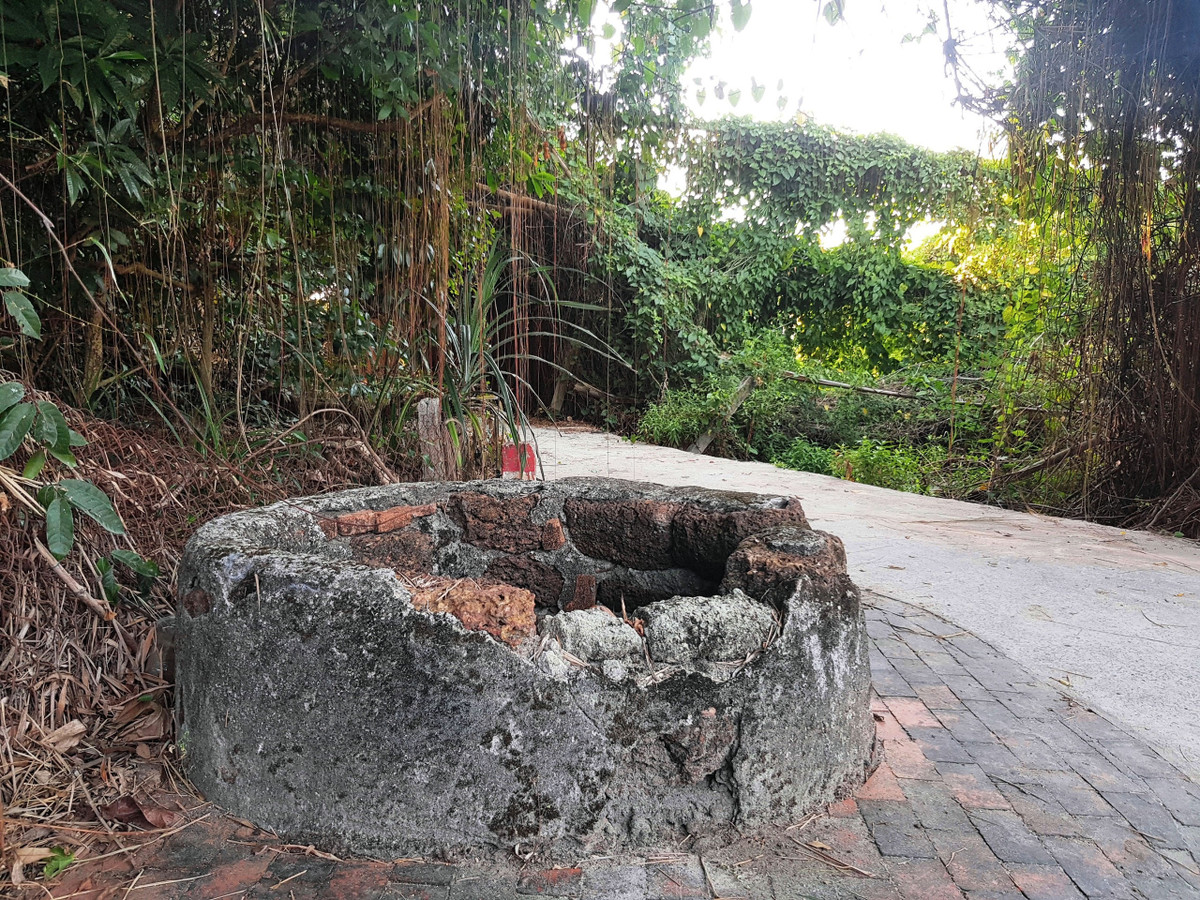 Kham pha ve dep hoang so, binh di bai Say song Dam Quang Nam-Hinh-2