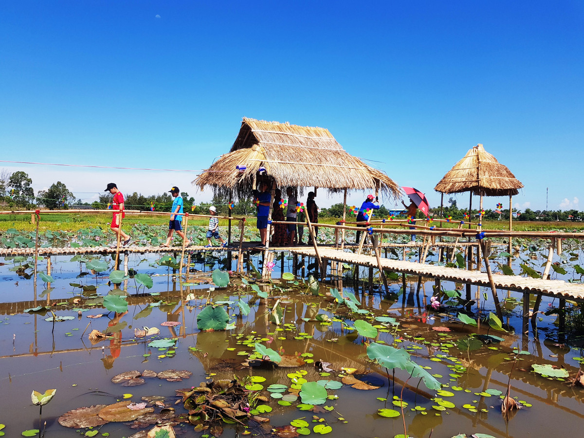 Kham pha ve dep hoang so, binh di bai Say song Dam Quang Nam-Hinh-7
