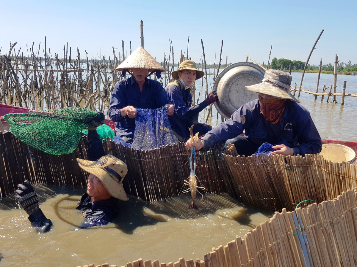 Kham pha ve dep hoang so, binh di bai Say song Dam Quang Nam-Hinh-6