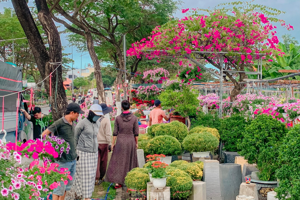 Ghi nhận của phóng viên, trên các tuyến đường Nguyễn Đình Tựu, Lê Đại Hành, Hoàng Thị Loan (TP. Đà Nẵng) ngập tràn không khí xuân về, nhiều người đổ về mua hoa, cây cảnh để trang hoàng nhà cửa chuẩn bị đón Tết.