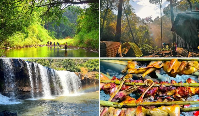 VQG Bù Gia Mập nằm ở huyện Bù Gia Mập, tỉnh Bình Phước, hiện có tổng diện tích hơn 25.000ha với trên 1.100 loài thực vật thuộc chi, họ, bộ khác nhau. Nơi đây còn mang đậm nét của rừng nguyên sinh giàu với ưu thế của những loài cây họ dầu, nhiều loài cây họ đậu quý hiếm như cẩm lai, giáng hương, gõ đỏ. Các loài thực vật trong VQG Bù Gia Mập rất phong phú, bao gồm nhiều loài quý hiếm cần bảo tồn.