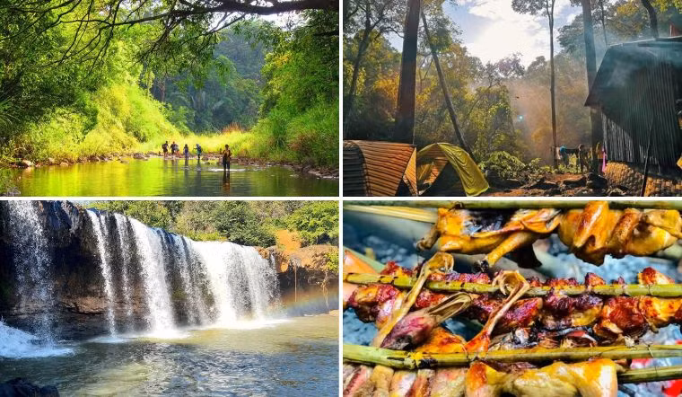 VQG Bù Gia Mập nằm ở huyện Bù Gia Mập, tỉnh Bình Phước, hiện có tổng diện tích hơn 25.000ha với trên 1.100 loài thực vật thuộc chi, họ, bộ khác nhau. Nơi đây còn mang đậm nét của rừng nguyên sinh giàu với ưu thế của những loài cây họ dầu, nhiều loài cây họ đậu quý hiếm như cẩm lai, giáng hương, gõ đỏ. Các loài thực vật trong VQG Bù Gia Mập rất phong phú, bao gồm nhiều loài quý hiếm cần bảo tồn.