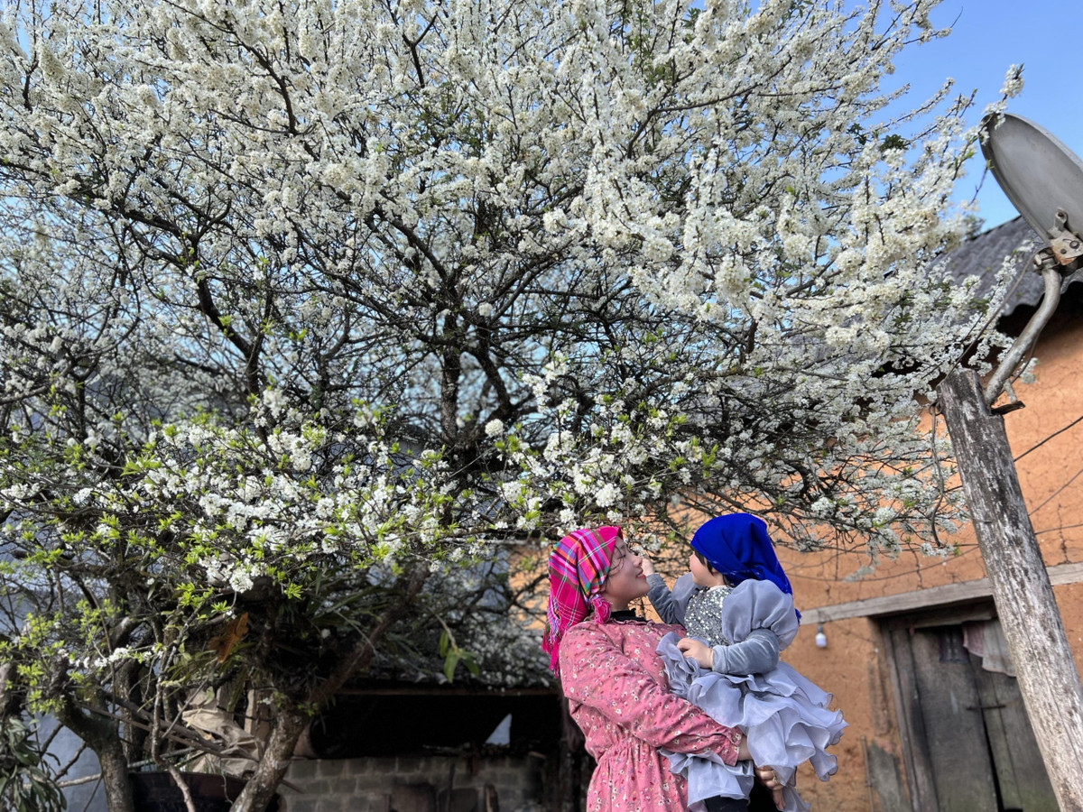 Hoa dao, hoa man dua no moi goi du khach den voi Y Ty-Hinh-8