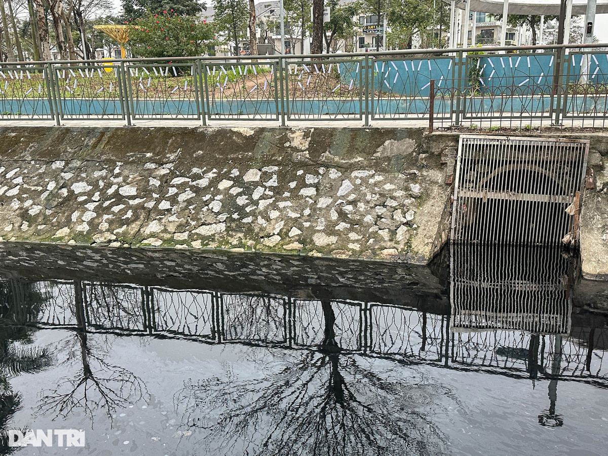 Phía mặt hồ giáp với đường Lê Quang Đạo kéo dài có một cống nước thải chảy ra hồ. Theo quan sát của phóng viên, nước hồ tại khu vực này đen ngòm, bốc mùi hôi thối nồng nặc. Trước hiện tượng cá chết bốc mùi hôi thối tại công viên Thiên văn học, lãnh đạo UBND phường Dương Nội (quận Hà Đông) cho biết sẽ cho các đơn vị chức năng kiểm tra, xử lý.