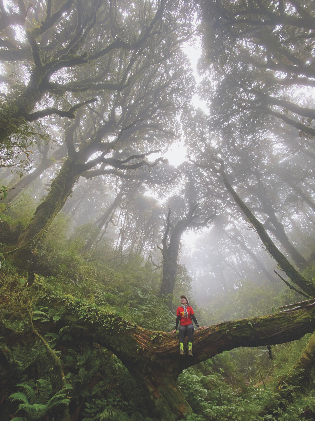 Dam me chinh phuc cac dinh nui cao cua co gai Tay Ninh-Hinh-6