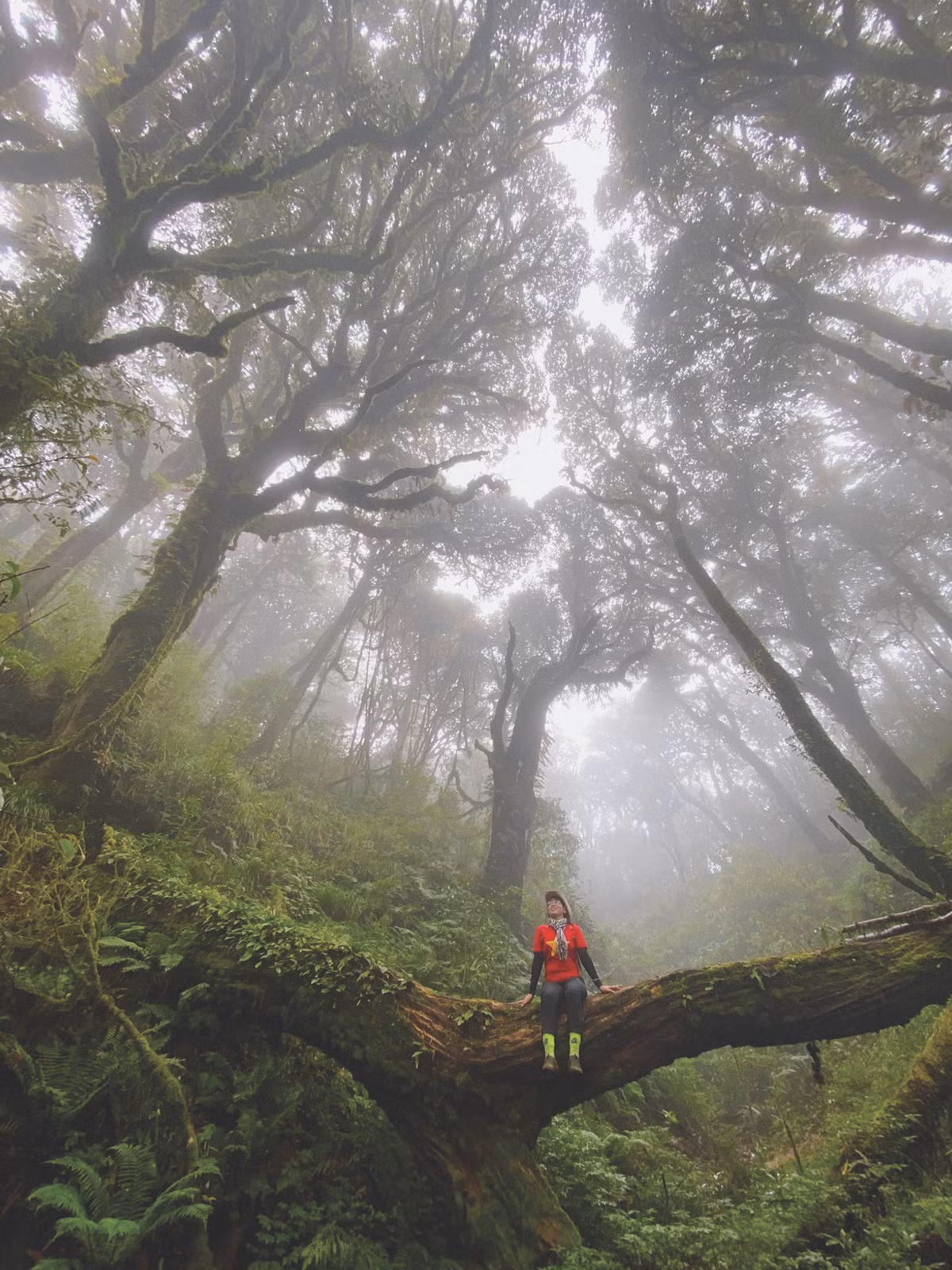 Dam me chinh phuc cac dinh nui cao cua co gai Tay Ninh-Hinh-6