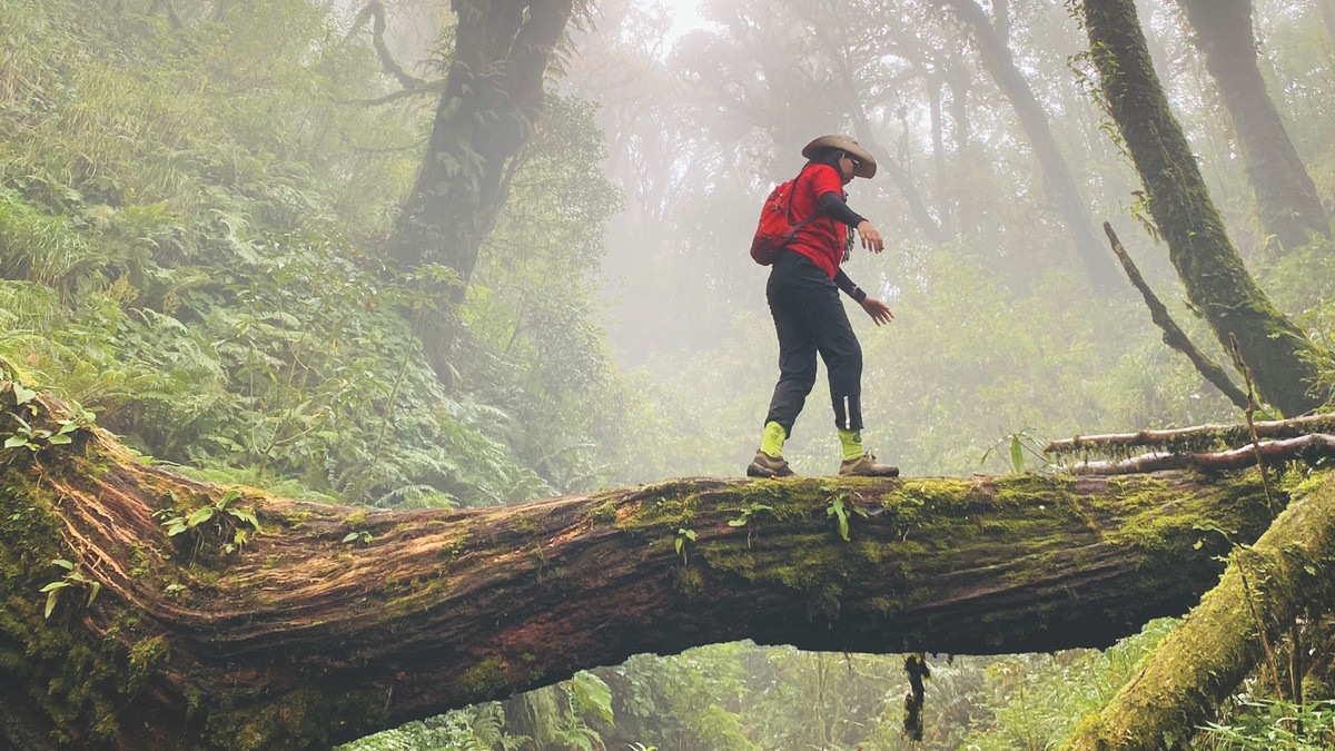 Dam me chinh phuc cac dinh nui cao cua co gai Tay Ninh-Hinh-7