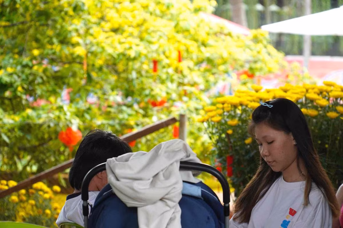 Cay mai vang tan khong lo noi tieng o Dong Nai, gia tien ty-Hinh-3