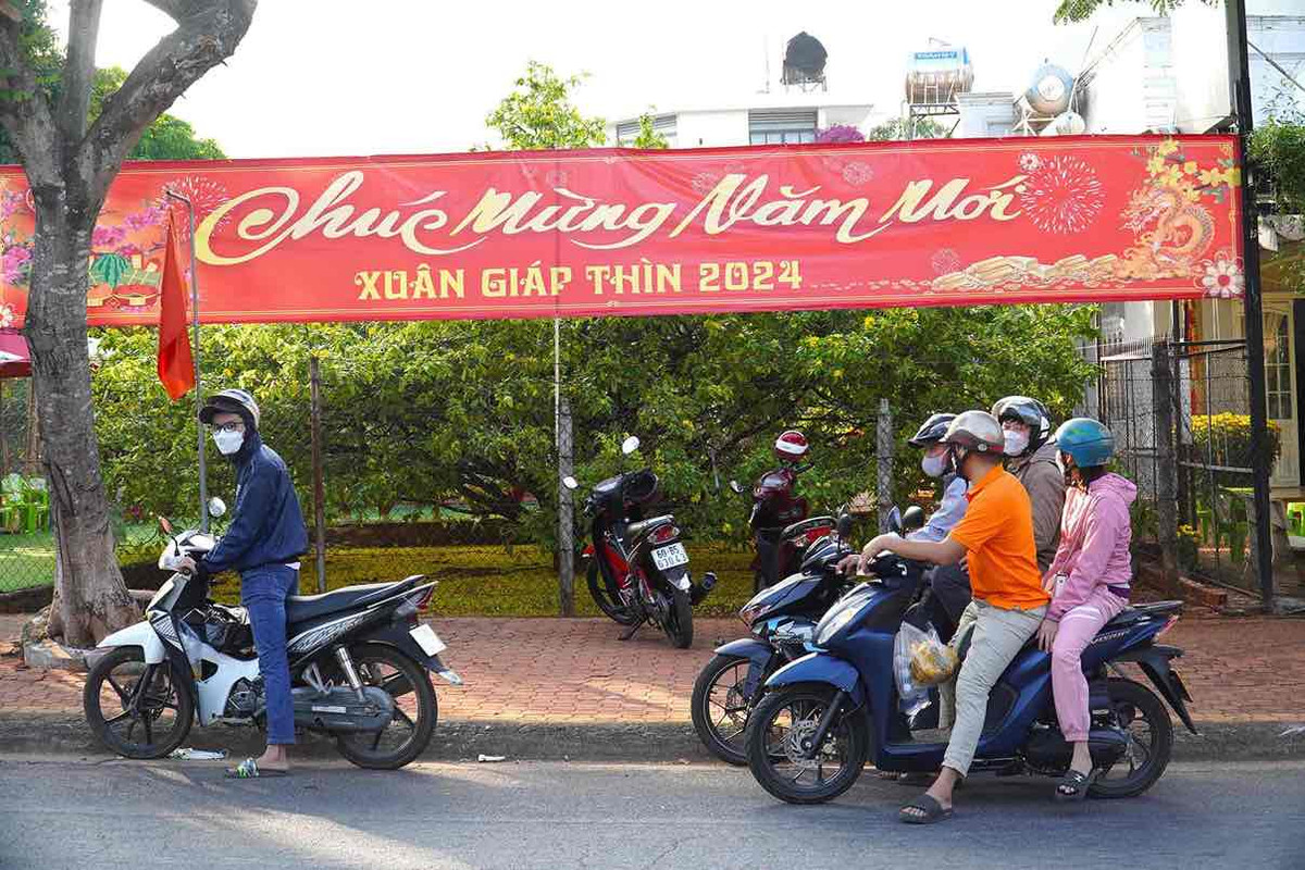 Cay mai vang tan khong lo noi tieng o Dong Nai, gia tien ty-Hinh-7