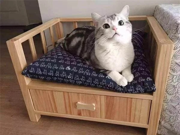 6 cach khien meo thich ngu trong o-Hinh-3