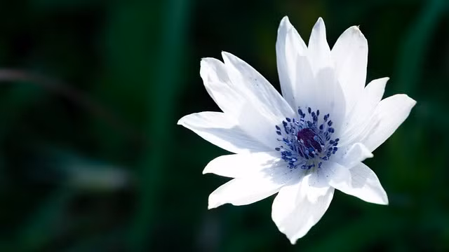 Nguoi sinh ngay Am lich nay duoc quy nhan phu tro, tuong lai thuan buom xuoi gio