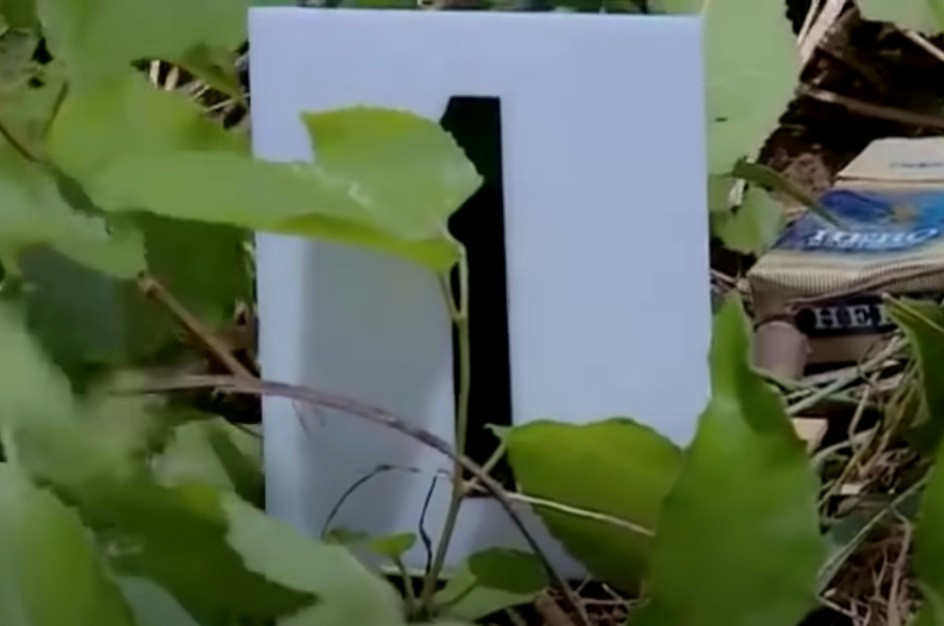 Nạn nhân khi đi bán vé số thường mang rất nhiều vàng đeo trên tay, trên cổ. Do đó, cảnh sát nhận định, hung thủ đã theo dõi, giết người để cướp tài sản. Trên tử thi có nhiều dấu vết bầm tím ở mặt, đầu và cổ. Khả năng đối tượng đã dùng vật tày để tác động vào nạn nhân, sau đó dìm xuống nước.