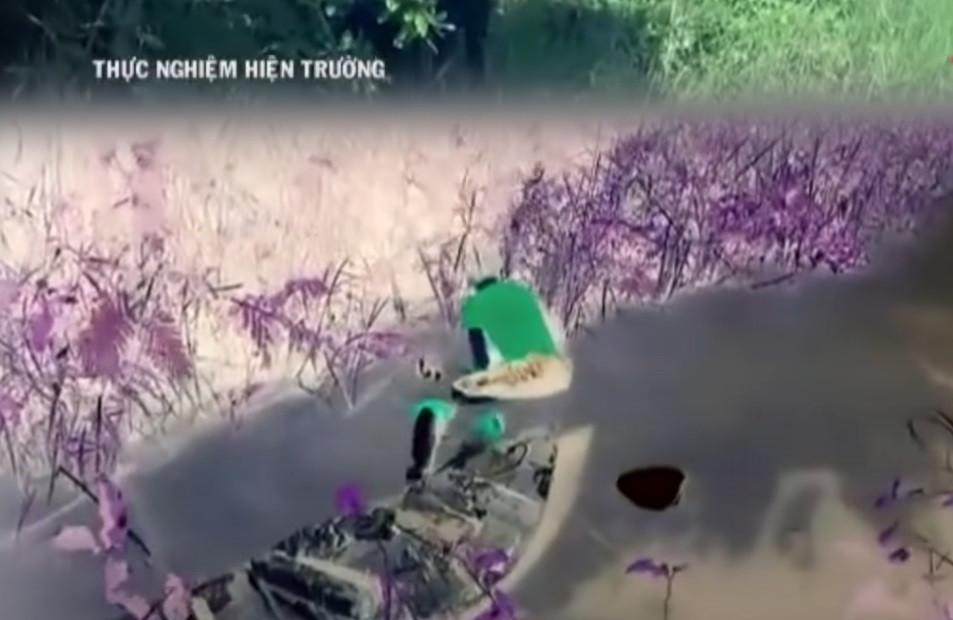 Lúc này, Thanh thấy bà Ai một mình bơi xuồng, trên cổ đeo nhiều trang sức nên nảy sinh ý định giết người, cướp tài sản. Thanh nấp trên bờ kênh đợi bà Ai bơi xuồng đến, Thanh liền nhảy xuống kênh quật ngã và dìm nạn nhân xuống nước tử vong. Sau đó Thanh kéo xác nạn nhân lên bờ, thực hiện hành vi đồi bại rồi lấy dây chuyền vàng, điện thoại và tiền của nạn nhân, định trốn sang Campuchia thì bị lực lượng công an bắt giữ ngay ngày hôm sau.