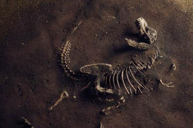 Phat hien hoa thach khung long khong lo o Anh