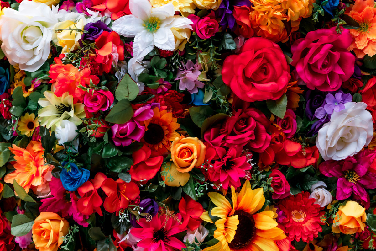 Tuần mới, 3 con giáp có tài lộc tăng đều, tiền bạc rủng rỉnh Tuan moi, 3 con giap co tai loc tang deu, tien bac rung rinh