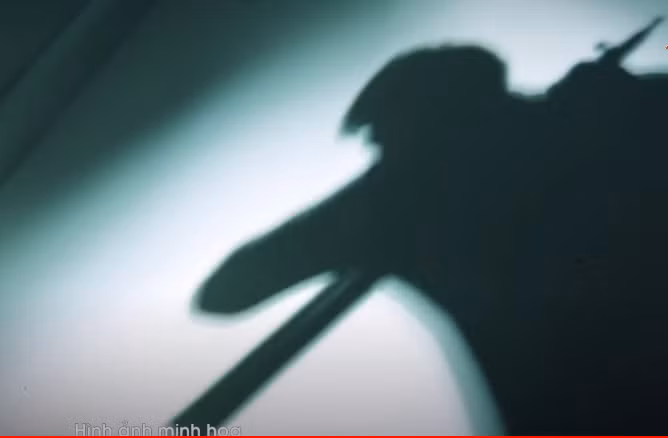 Cuối mùa bóng World Cup 2010, do anh Dũng không chịu trả 7 triệu đồng “tiền hoa hồng” cho Hùng nên giữa 2 người đã xảy ra mâu thuẫn. Trong lúc cãi nhau, anh Dũng dùng tay đấm vào mặt Hùng, cay cú vì đã không được trả tiền lại bị đánh nên Hùng đã lấy thanh song giường đâm vào đầu anh Dũng từ phía sau và tiếp tục dùng tay đè nạn nhân xuống nền nhà tắm cho đến chết.