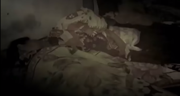 Vòng ra sau nhà, hai người cháu của bà Hảo vào bên trong nhà tìm bà Hảo thì thấy bà nằm trên giường đắp chăn, màn thả. Nghĩ bà đang ngủ nên hai người cháu đến gọi dậy. Tuy nhiên, khi vén màn lên thì phát hiện bà Hảo đã chết.