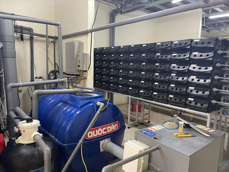 Doc dao mo hinh nuoi cua bien trong hop nhua o Ninh Binh-Hinh-2