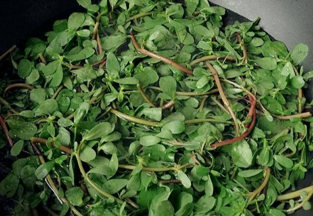 Bất ngờ loại rau dại là vị thuốc trường thọ, vitamin dưỡng da - Hình 7 Bat ngo loai rau dai la vi thuoc truong tho, vitamin duong da-Hinh-7