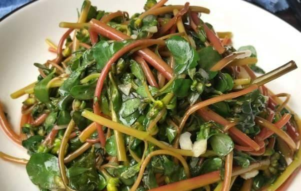 Bất ngờ loại rau dại là vị thuốc trường thọ, vitamin dưỡng da - Hình 6 Bat ngo loai rau dai la vi thuoc truong tho, vitamin duong da-Hinh-6