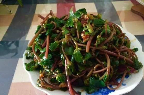 Bất ngờ loại rau dại là vị thuốc trường thọ, vitamin dưỡng da - Hình 4 Bat ngo loai rau dai la vi thuoc truong tho, vitamin duong da-Hinh-4